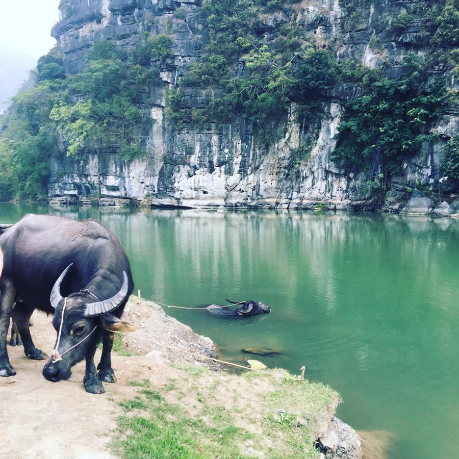 Mai's homestay Trang An village Ninh Binh Eksteriør bilde