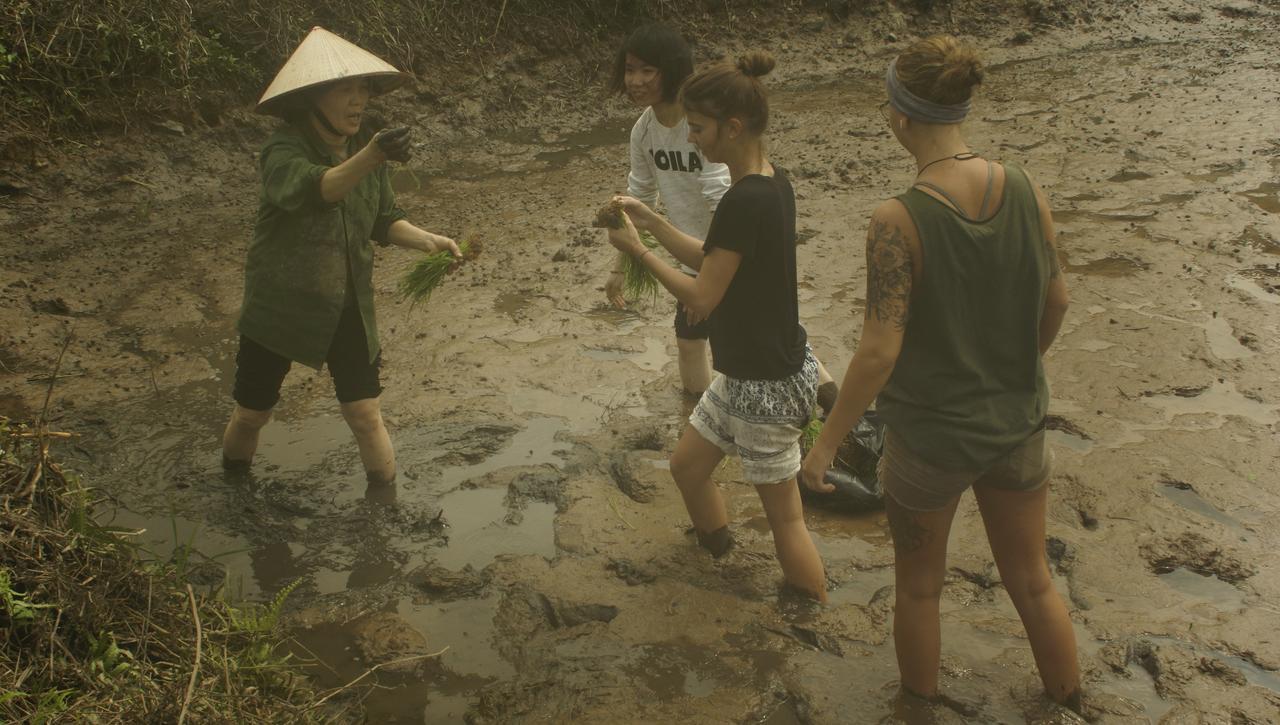 Mai's homestay Trang An village Ninh Binh Eksteriør bilde