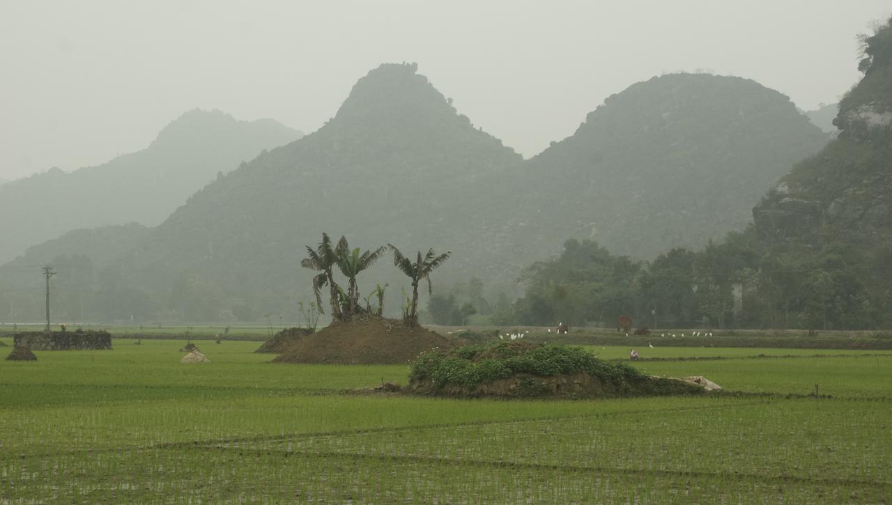 Mai's homestay Trang An village Ninh Binh Eksteriør bilde