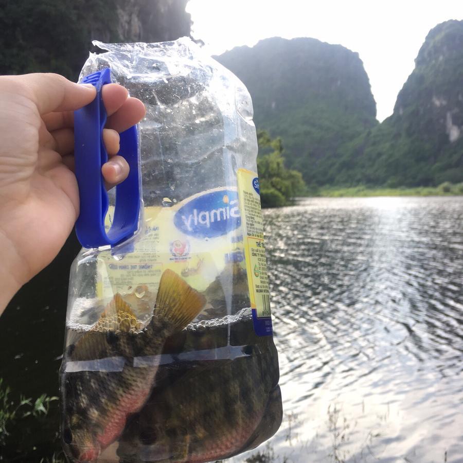 Mai's homestay Trang An village Ninh Binh Eksteriør bilde