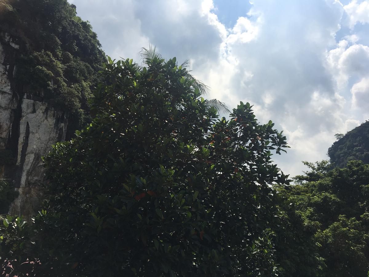 Mai's homestay Trang An village Ninh Binh Eksteriør bilde