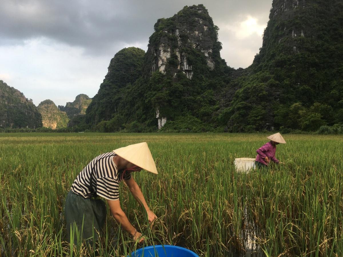 Mai's homestay Trang An village Ninh Binh Eksteriør bilde