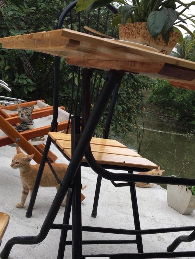 Mai's homestay Trang An village Ninh Binh Eksteriør bilde